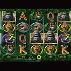 gorilla kingdom slot